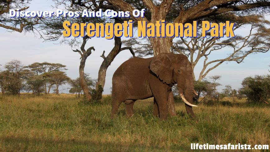 Tanzania Safari Tours Tanzania Safari Tours