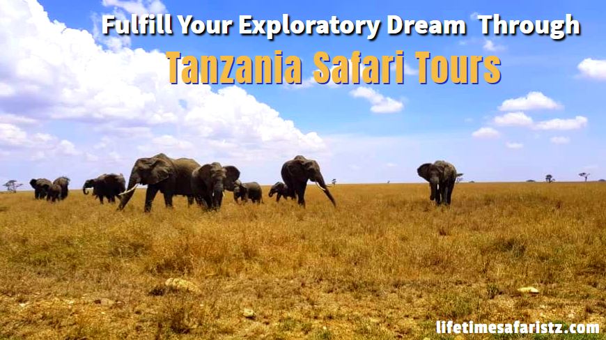 Tanzania Safari Tours Tanzania Safari Tours