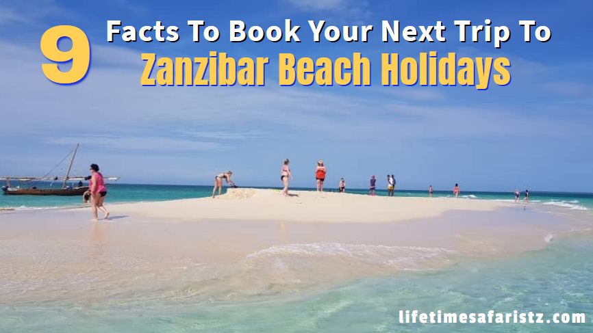 Zanzibar Beach Holidays Zanzibar Beach Holidays