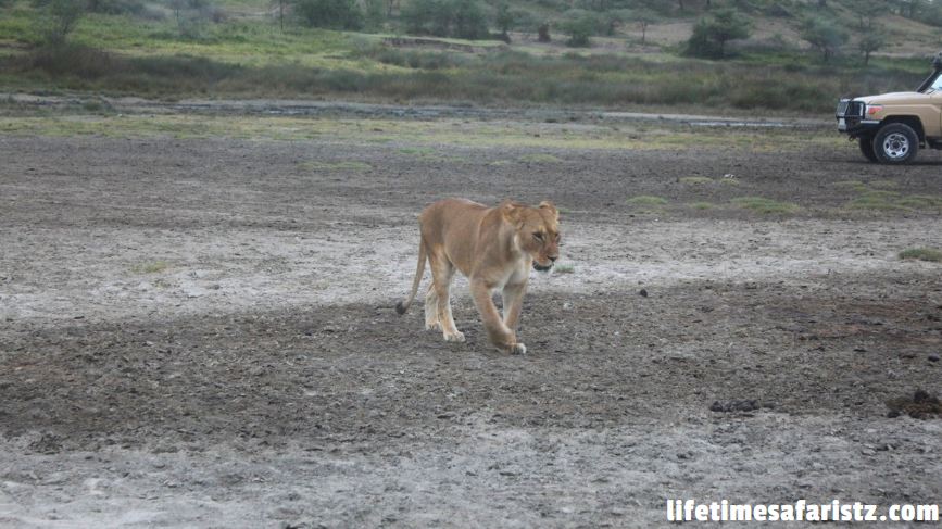 Serengeti National Park Serengeti National Park