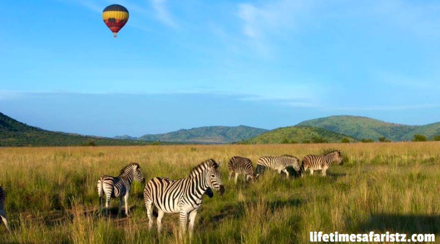 Hot Air Balloon Safari Hot Air Balloon Safari