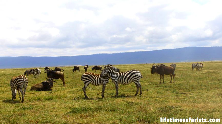 Hiking Small Heights – Ngorongoro Carter Hiking Small Heights – Ngorongoro Carter