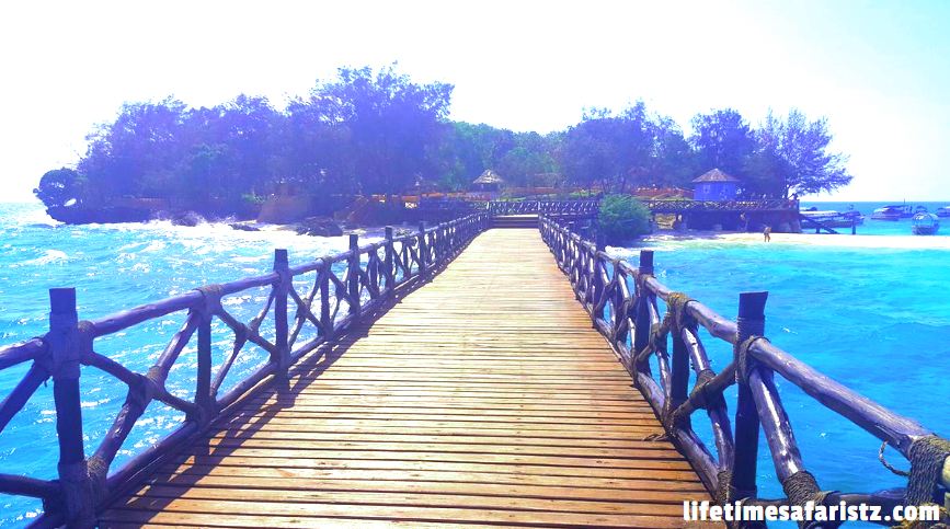 Dive into the Unexplored Ocean Dive into the Unexplored Ocean