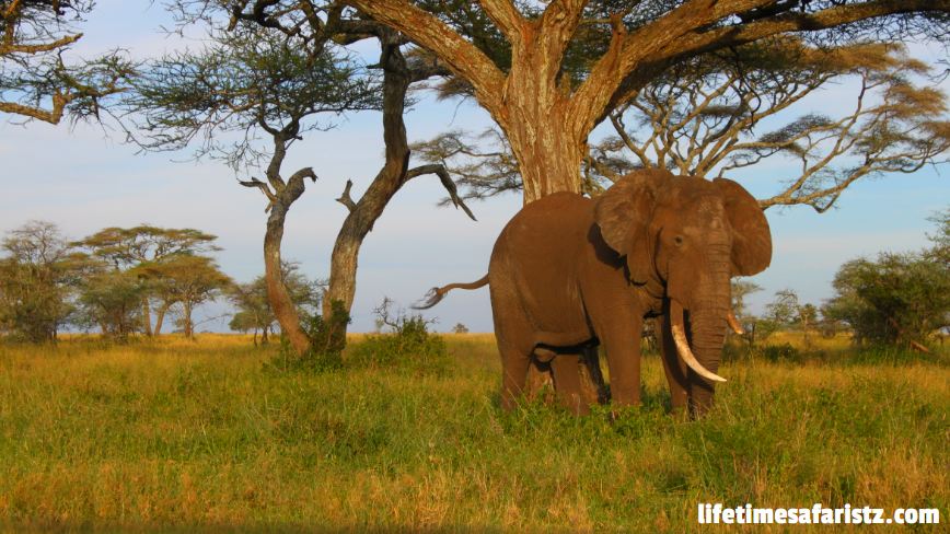 Tanzania Destinations Tanzania Destinations