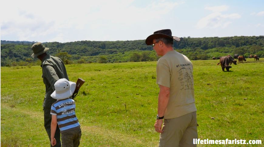 Tanzania Tours And Safaris Tanzania Tours And Safaris
