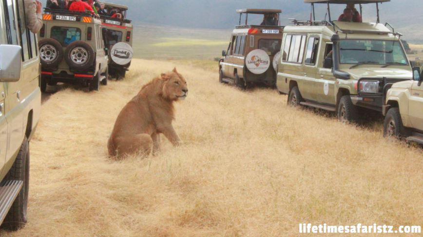 Tanzania Safari Tours Tanzania Safari Tours