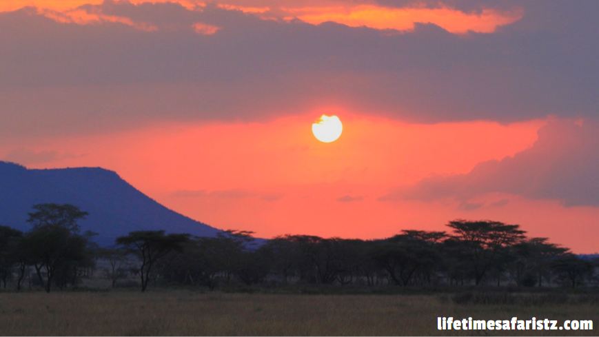 Tanzania National Parks Tanzania National Parks
