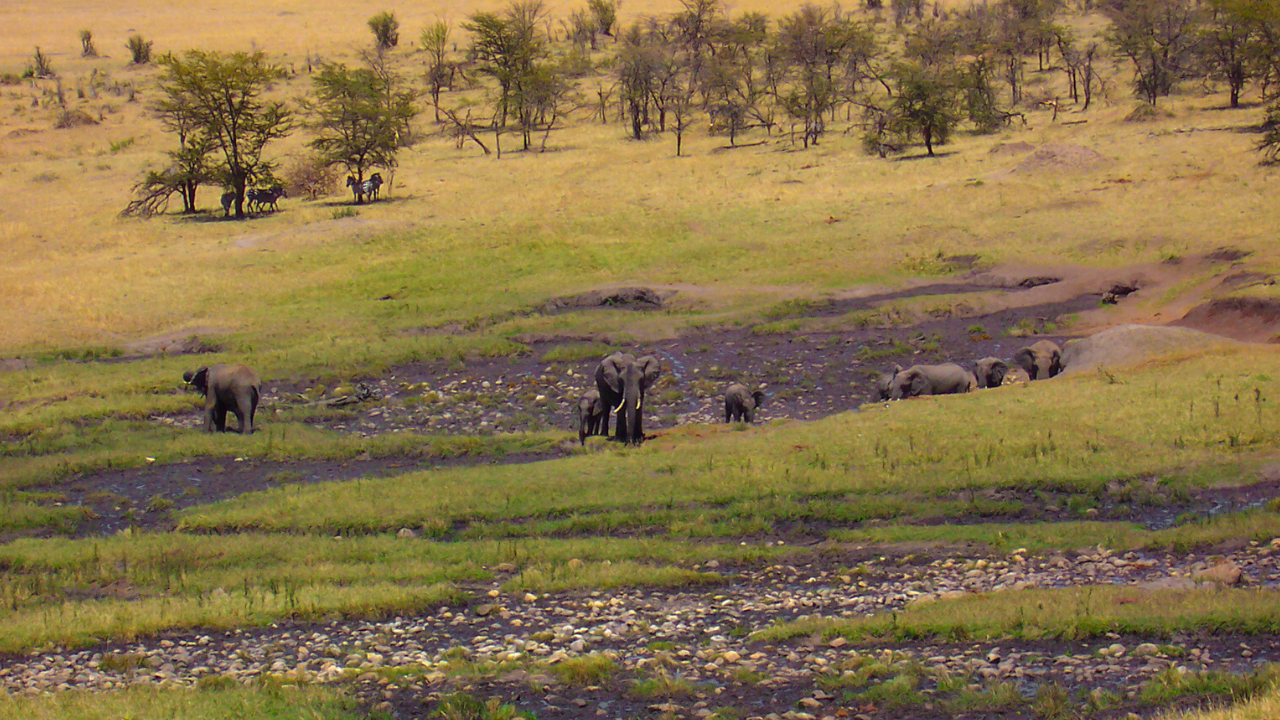 Bologonja Springs