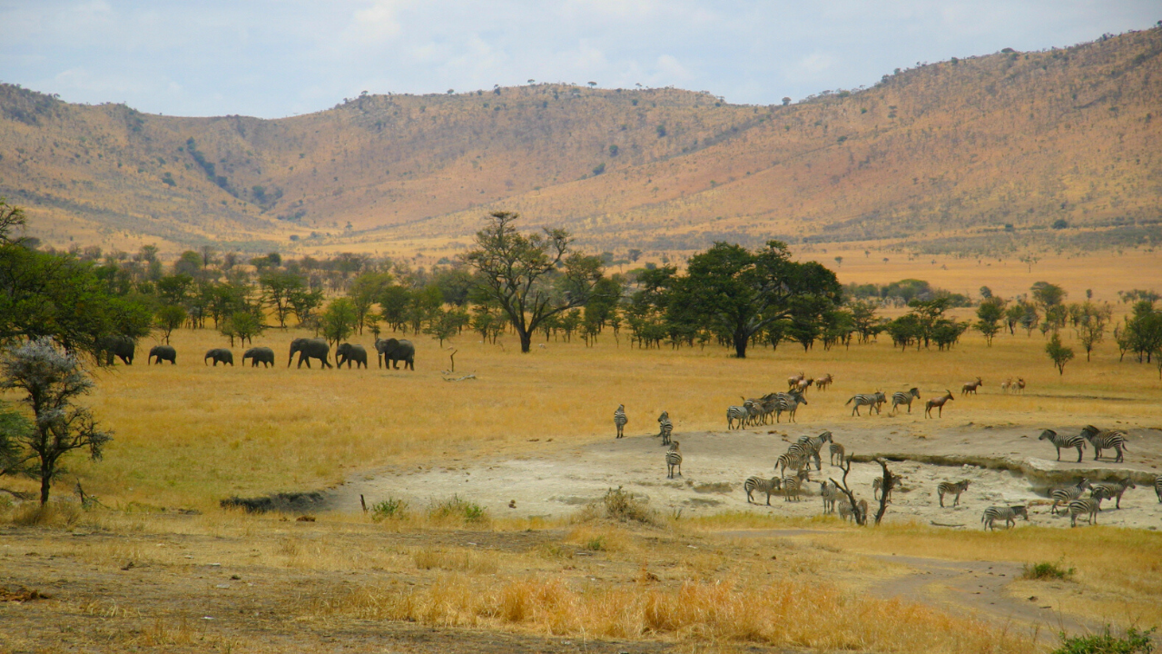 Lobo Valley