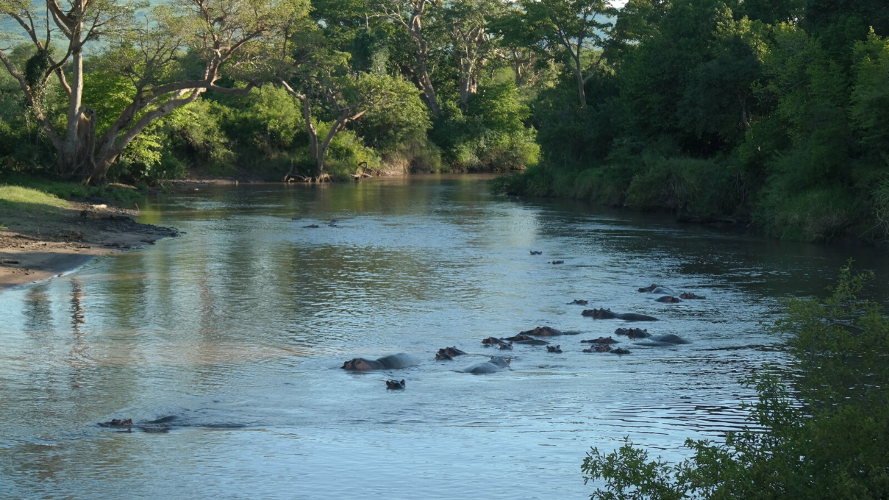 grumeti river