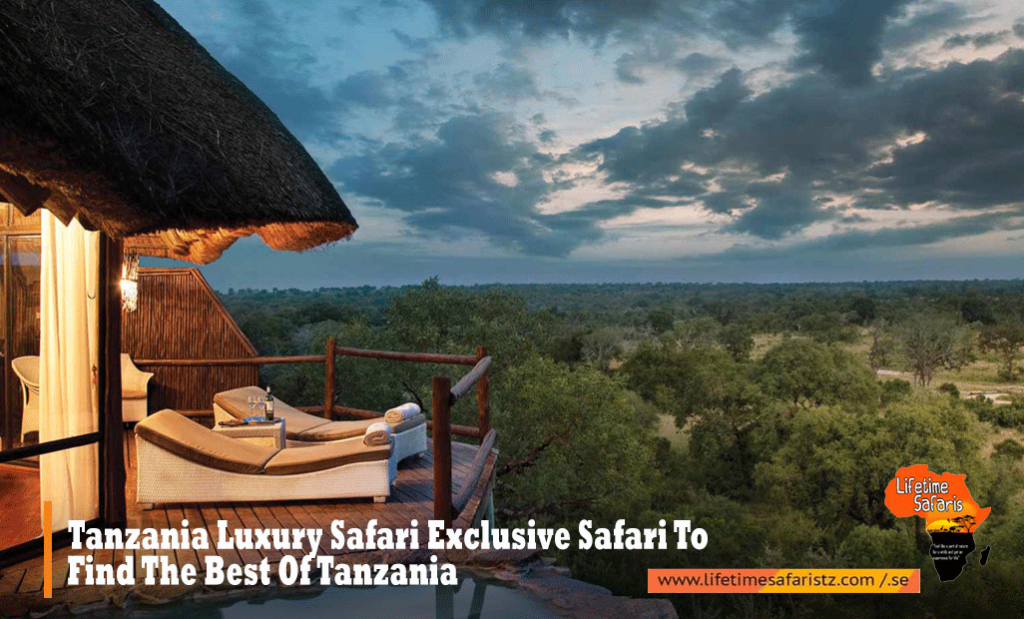 Tanzania Luxury Safari