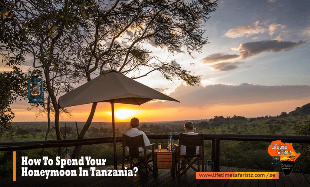 How To Spend Your Honeymoon In Tanzania