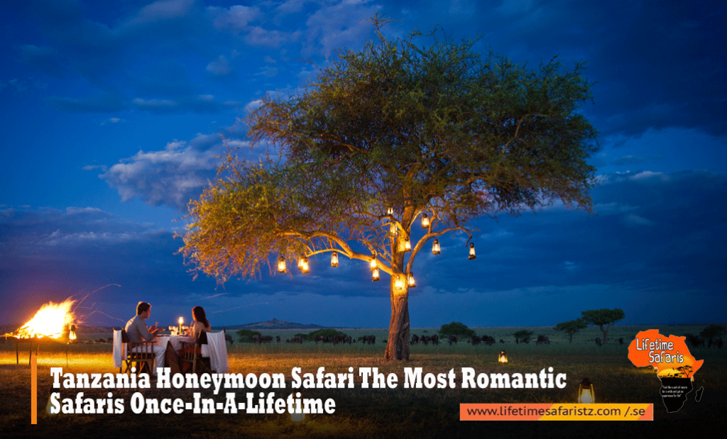 Tanzania Honeymoon Safari