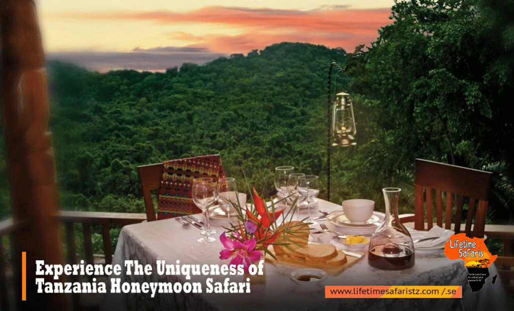 Tanzania Honeymoon Safari