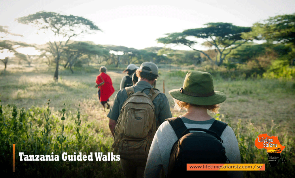 Tanzania Guided Walks