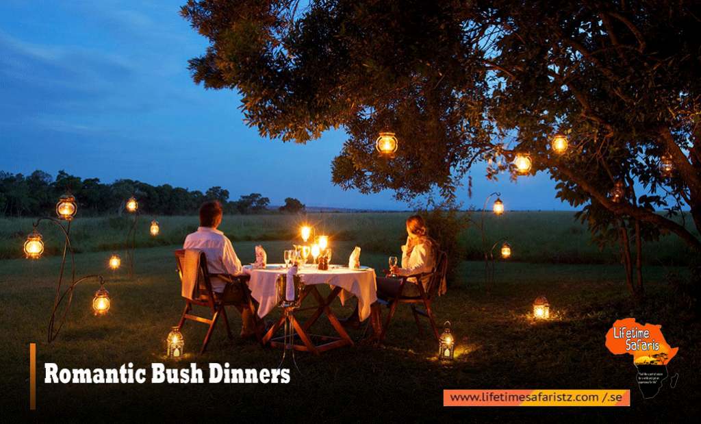 Tanzania Romantic Bush Dinners