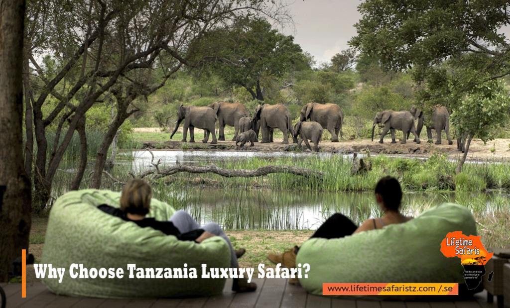 Why Choose Tanzania Luxury Safari
