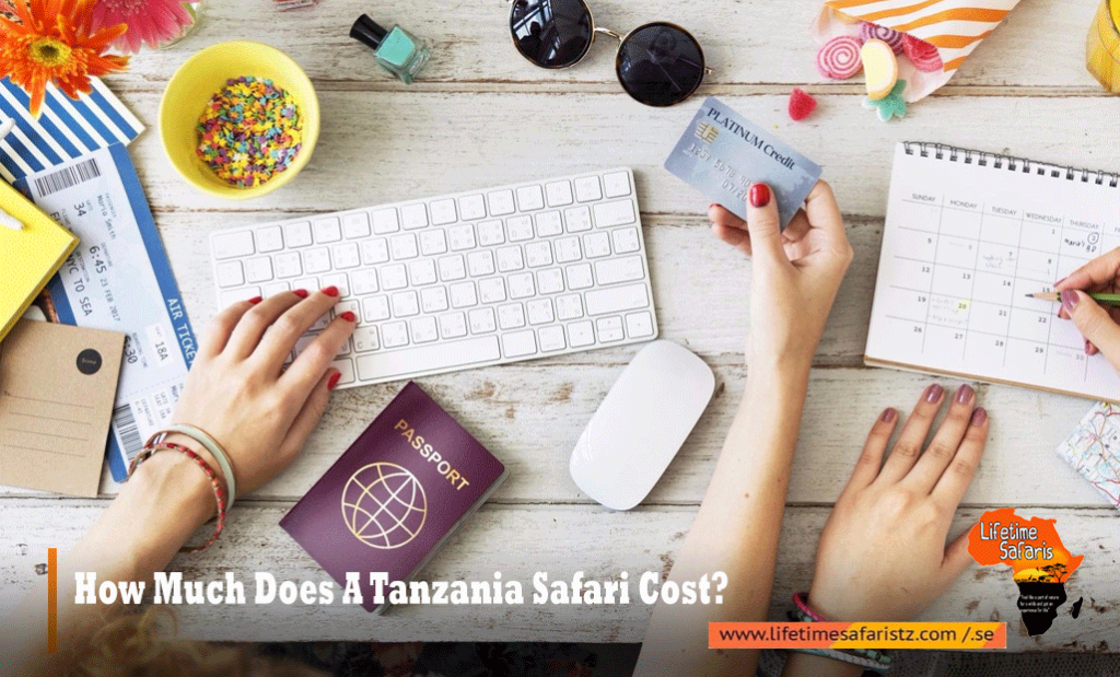 How Much Does A Tanzania Safari Cost
