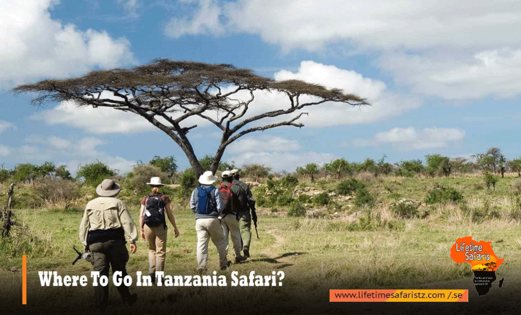 Where To Go In Tanzania Safari
