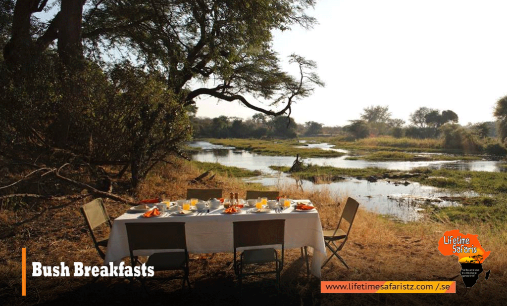 Tanzania Bush Breakfasts