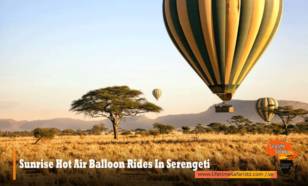 6.	Sunrise Hot Air Balloon Rides In Serengeti