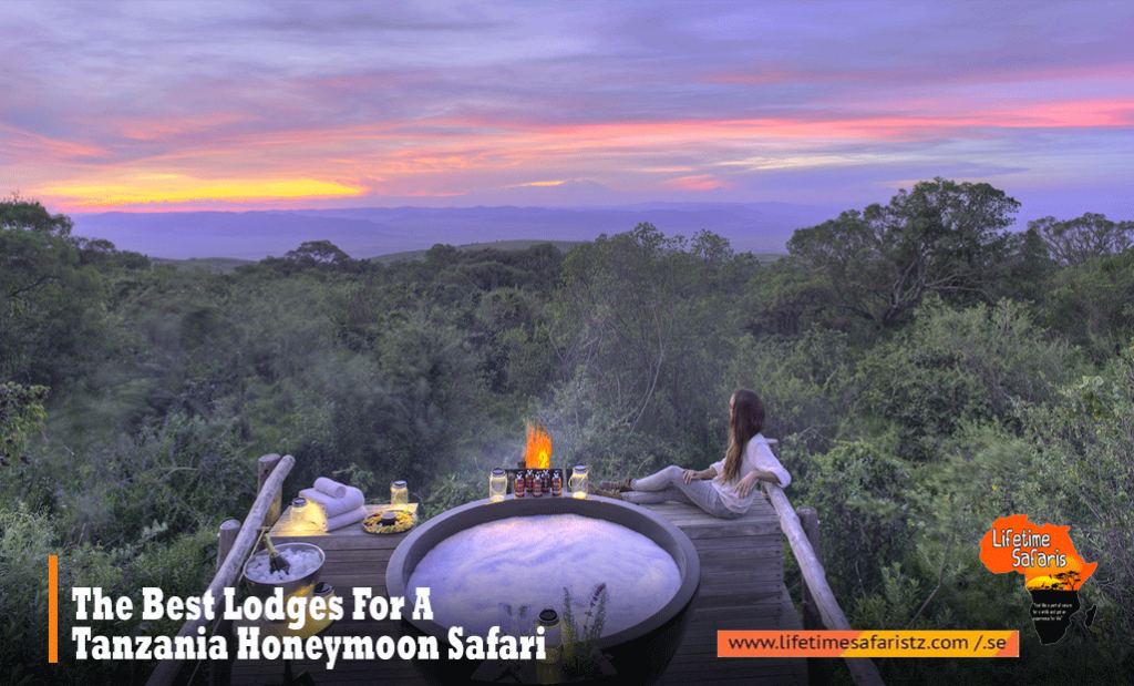 Best Lodges For A Tanzania Honeymoon Safari