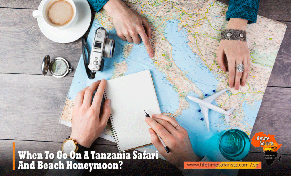 When To Go On A Tanzania Safari And Beach Honeymoon