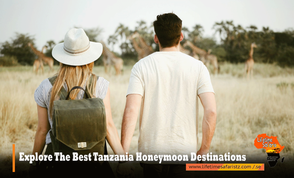 Tanzania Honeymoon Destinations