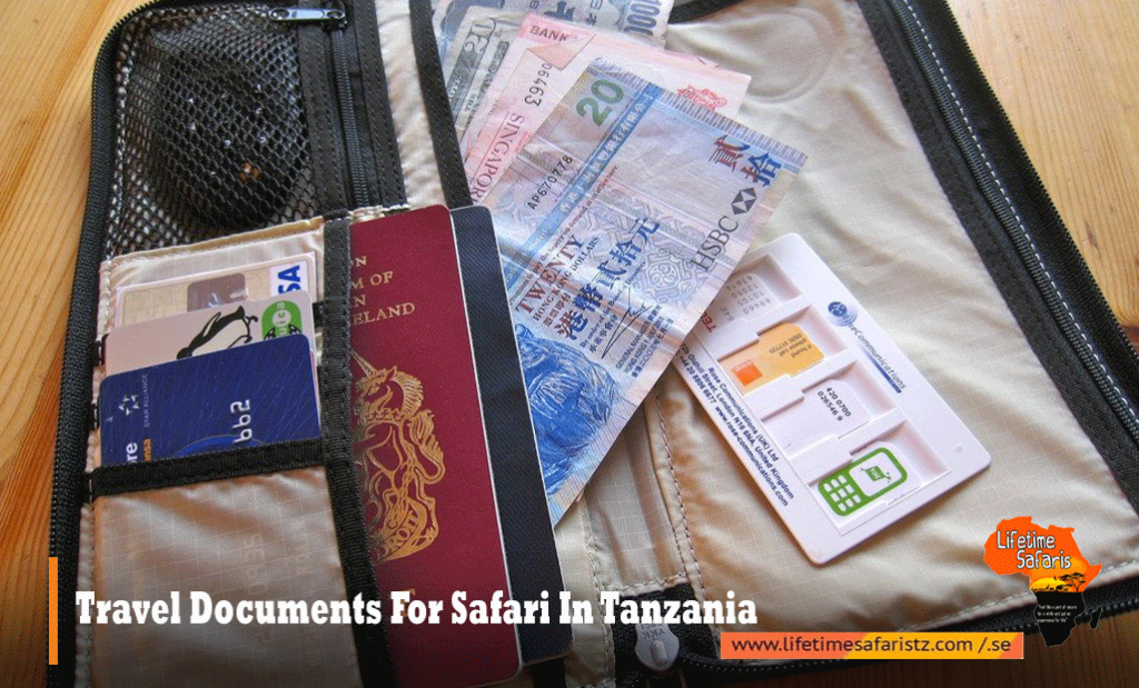 Travel Documents For Safari In Tanzania