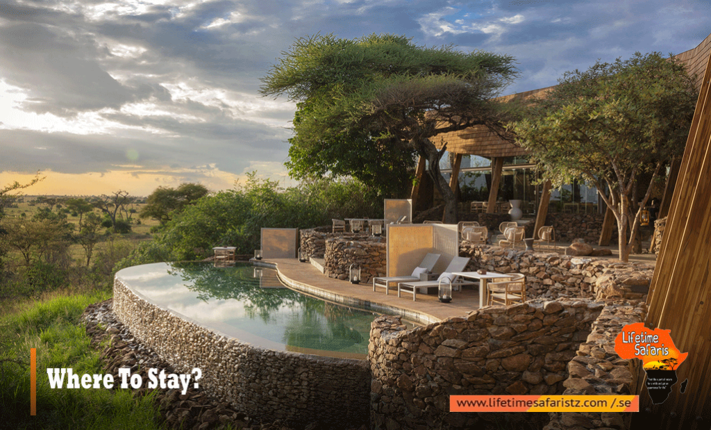 Where To Stay In Tanzania Luxury Safari