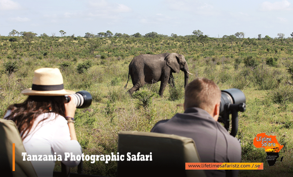 Tanzania Photographic Safari