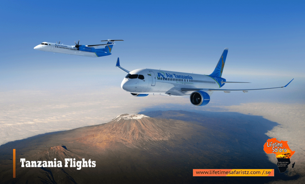 Tanzania Flights