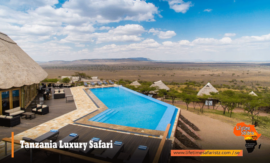 Tanzania Luxury Safari
