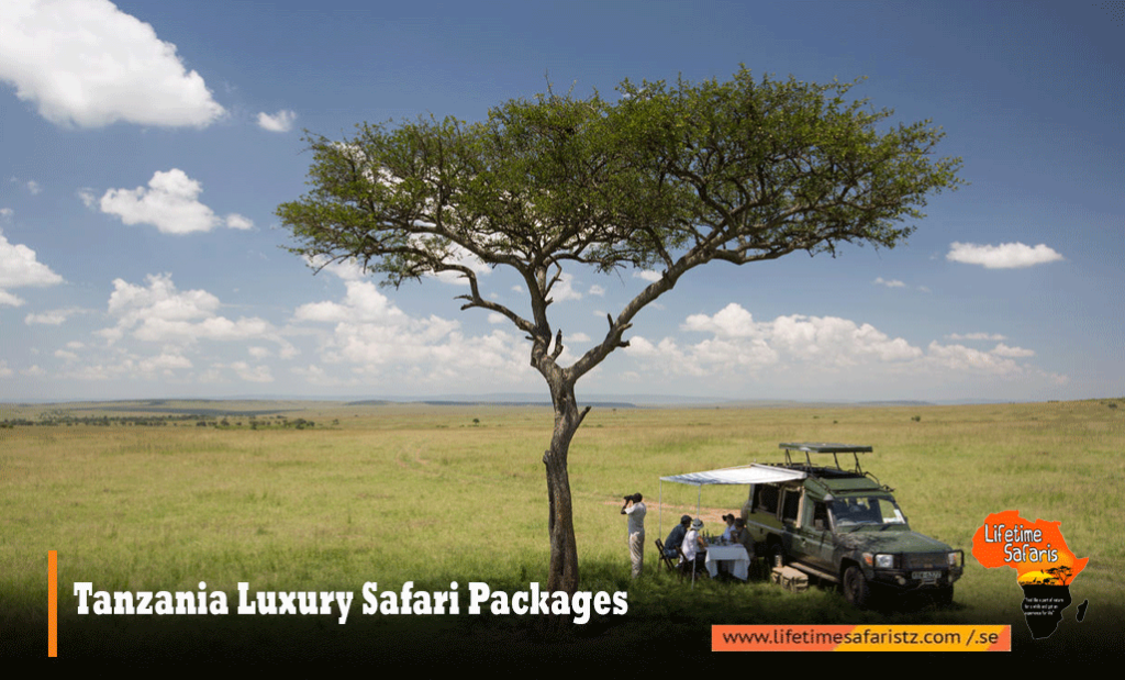 Tanzania Luxury Safari Packages