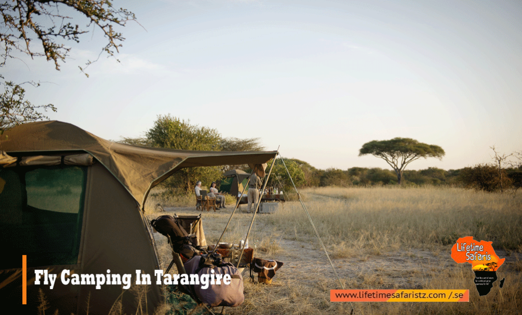Fly Camping In Tarangire