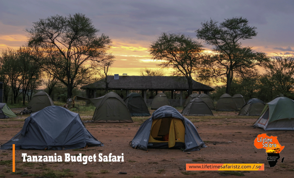 Tanzania Budget Safari