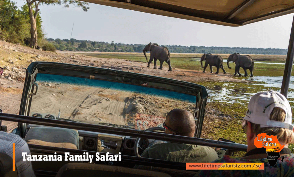 Tanzania Family Safari