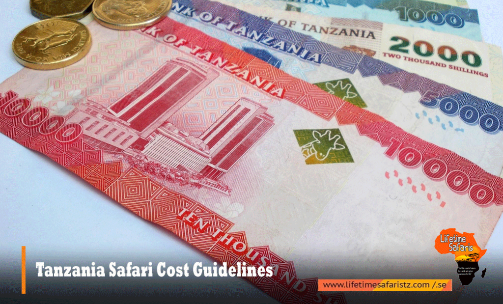 Tanzania Safari Cost Guidelines