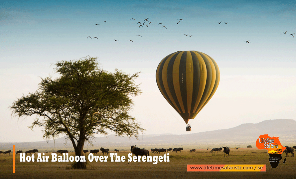Hot Air Balloon Over The Serengeti