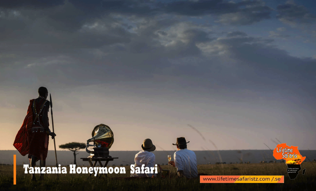 Tanzania Honeymoon Safari