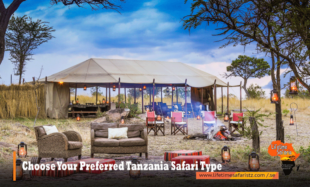 Tanzania Safari Tours