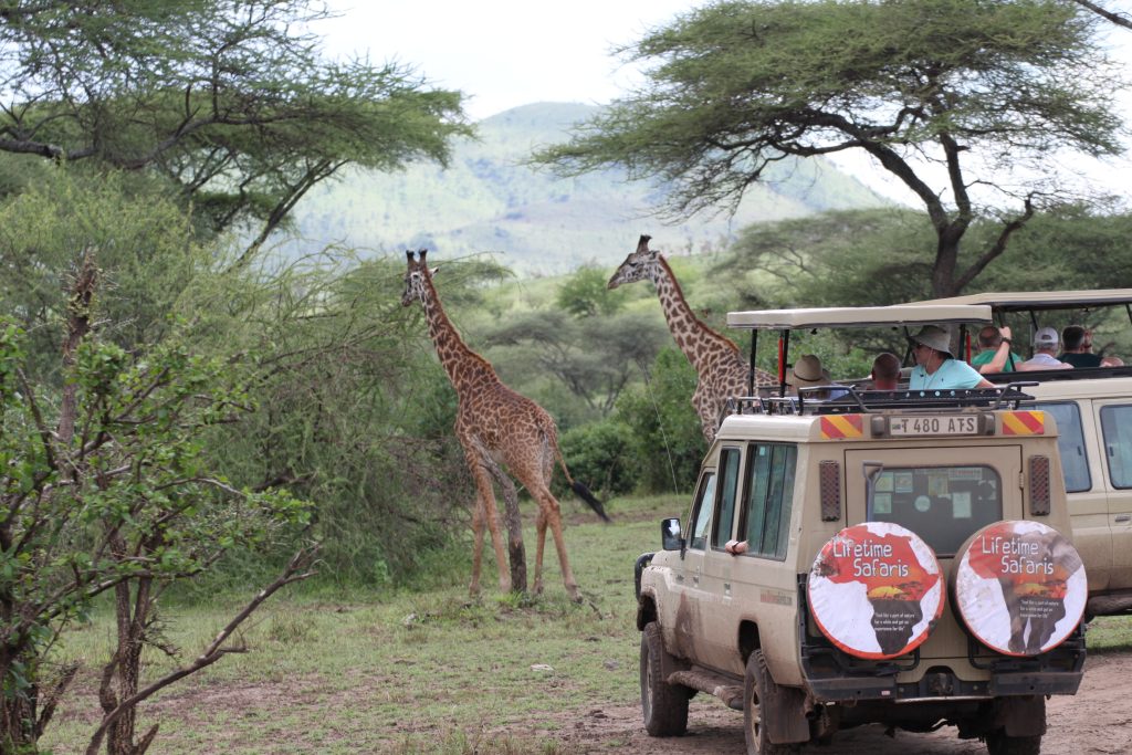 Lifetime Safaris