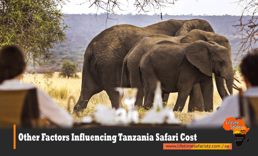 Tanzania Safari Cost