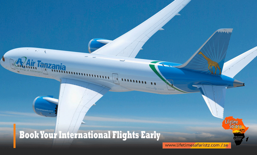 Tanzania Safari Flights
