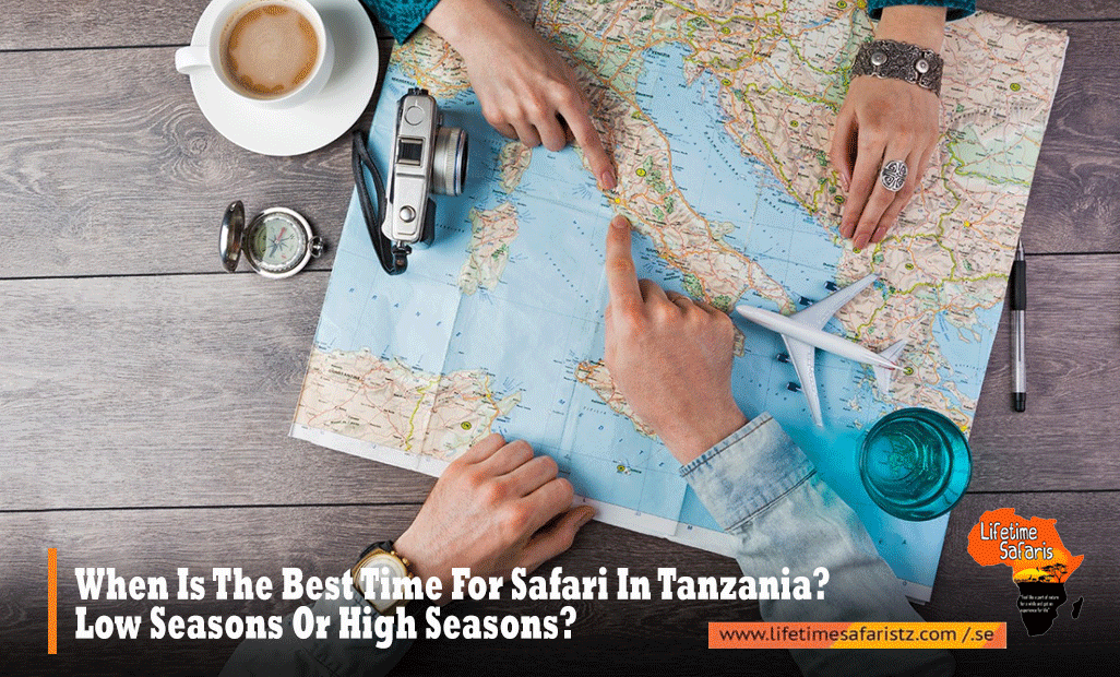 Best Time for Safari in Tanzania