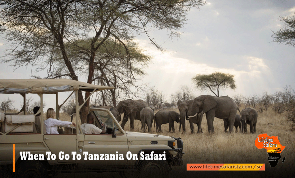 When-To-Go-To-Tanzania-On-Safari