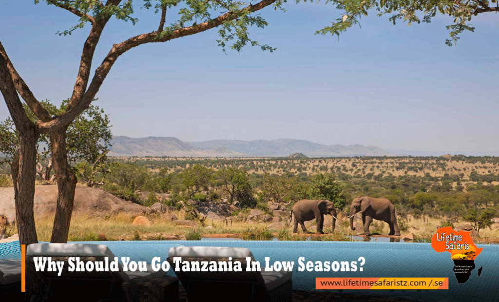 Why-Should-You-Go-Tanzania-In-Low-Seasons