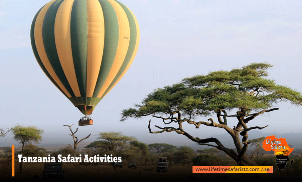 Tanzania Safari Activities
