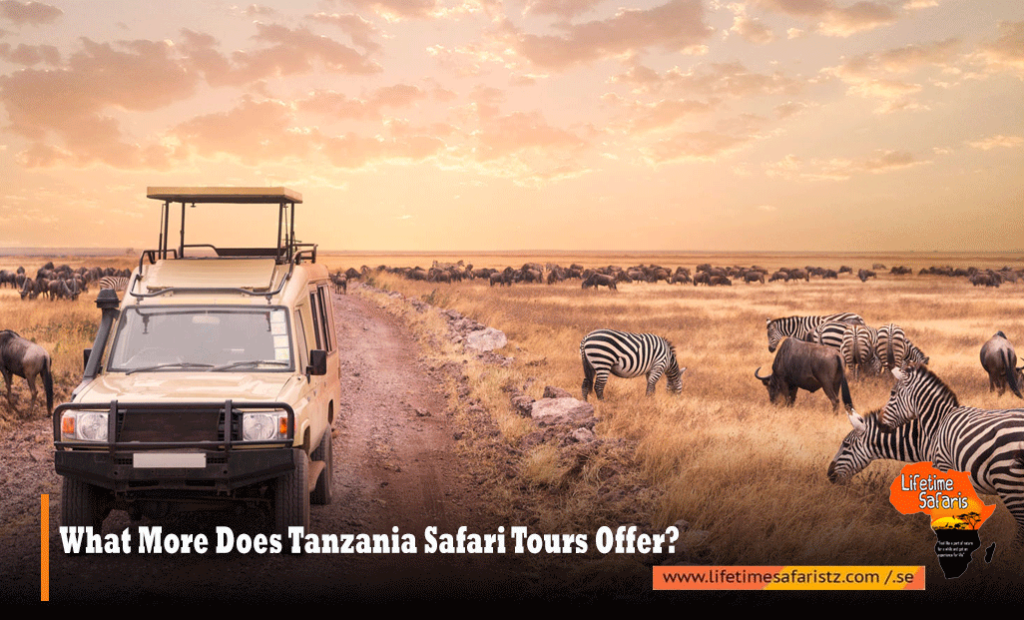Tanzania Safari Tours