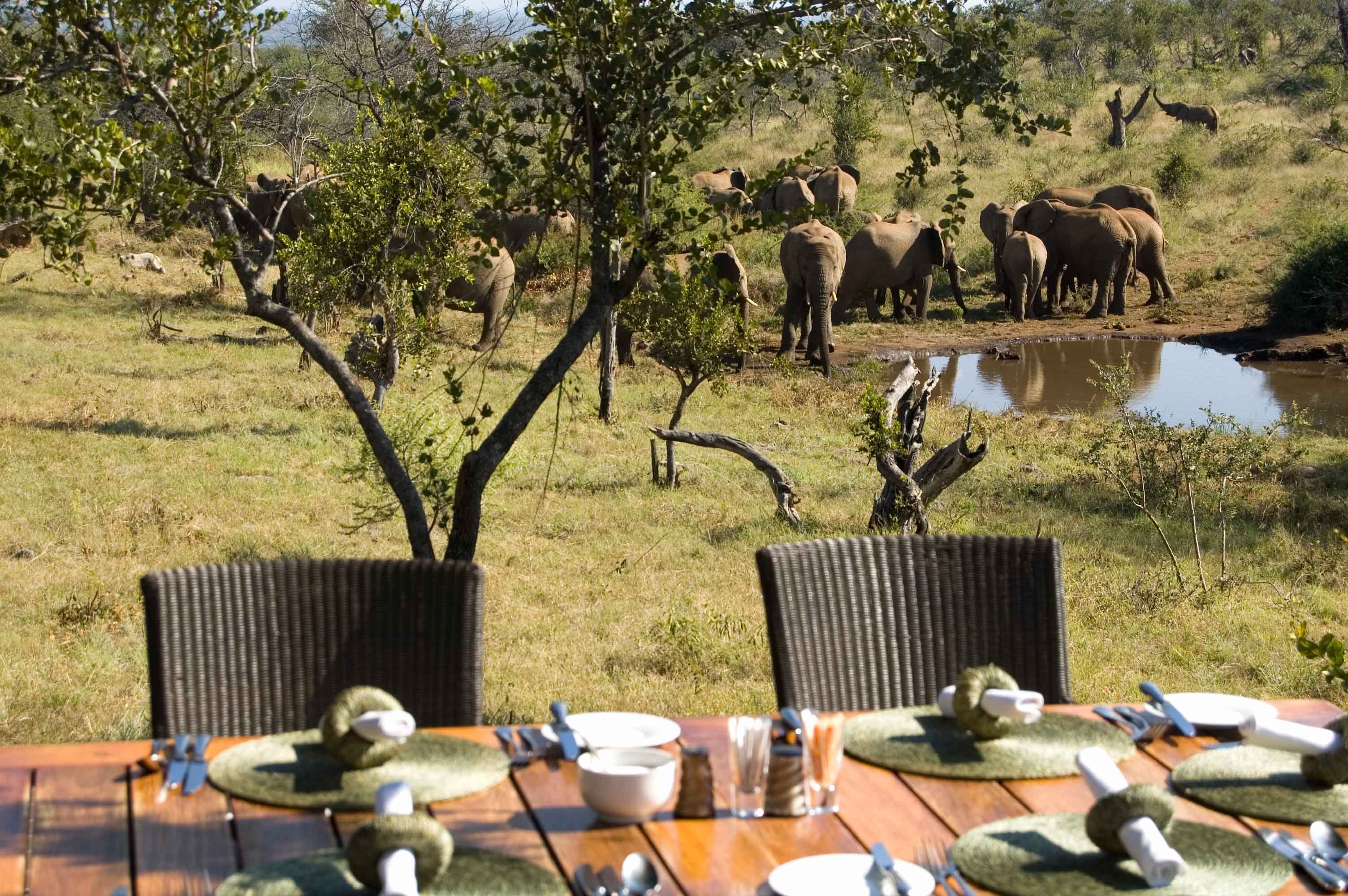Tanzania Safari Tours